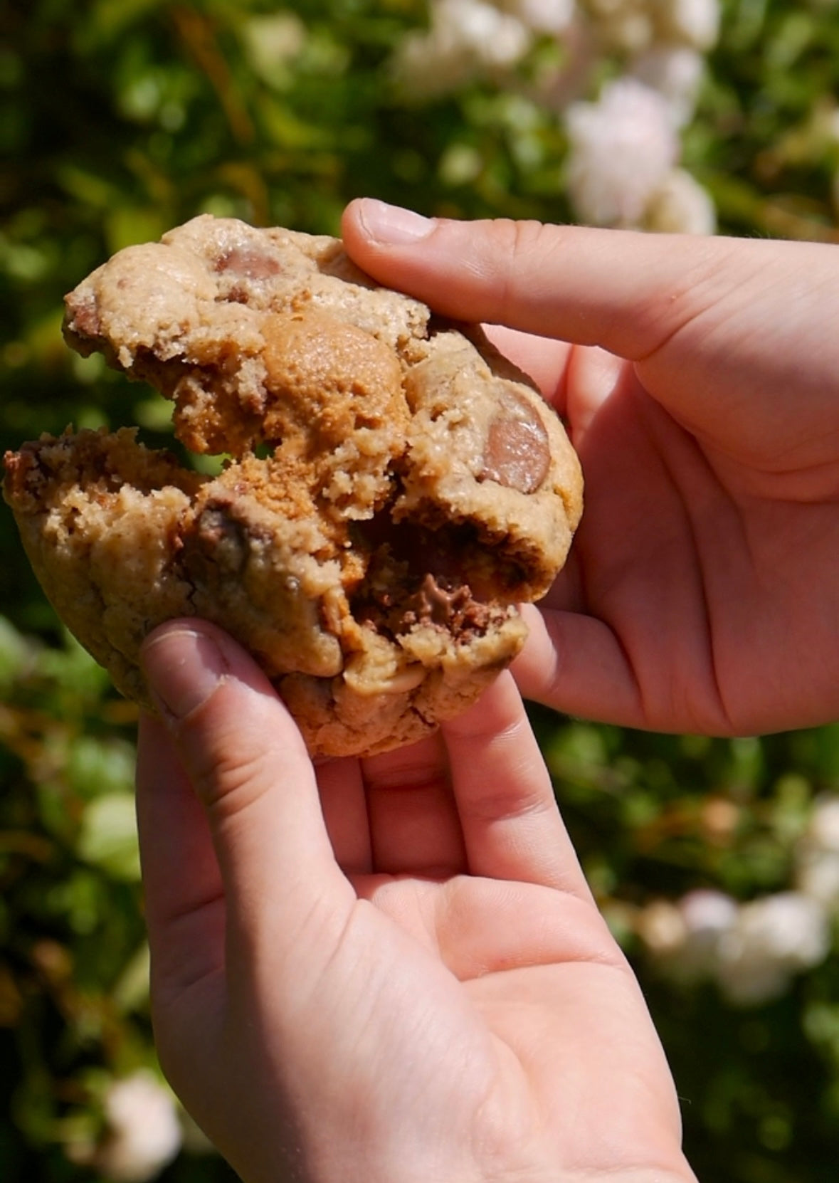 Cacahuètes
