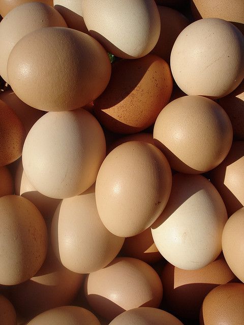 Oeufs entiers